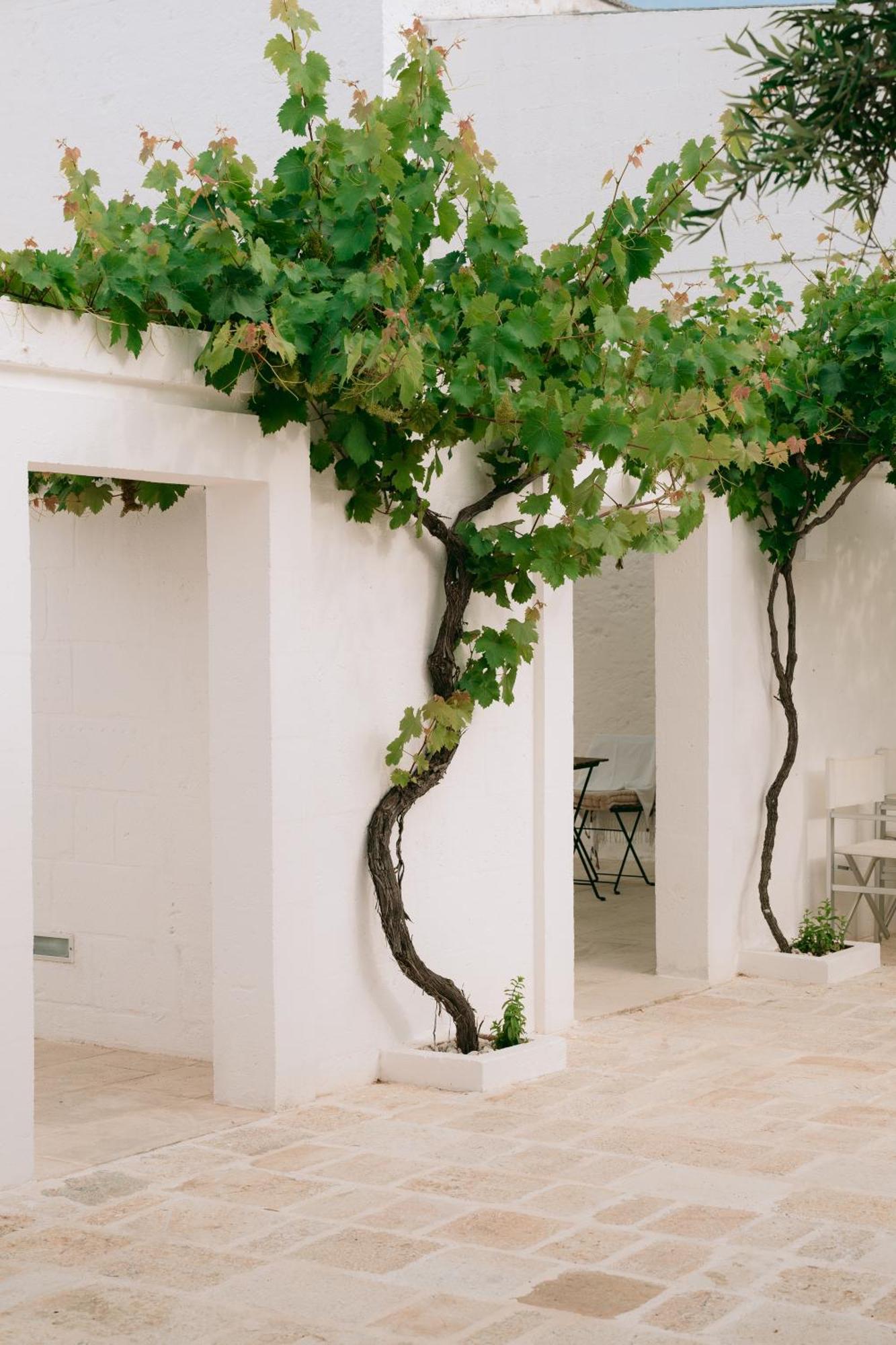 Oltre Gli Ulivi Bed and Breakfast Ostuni Eksteriør billede