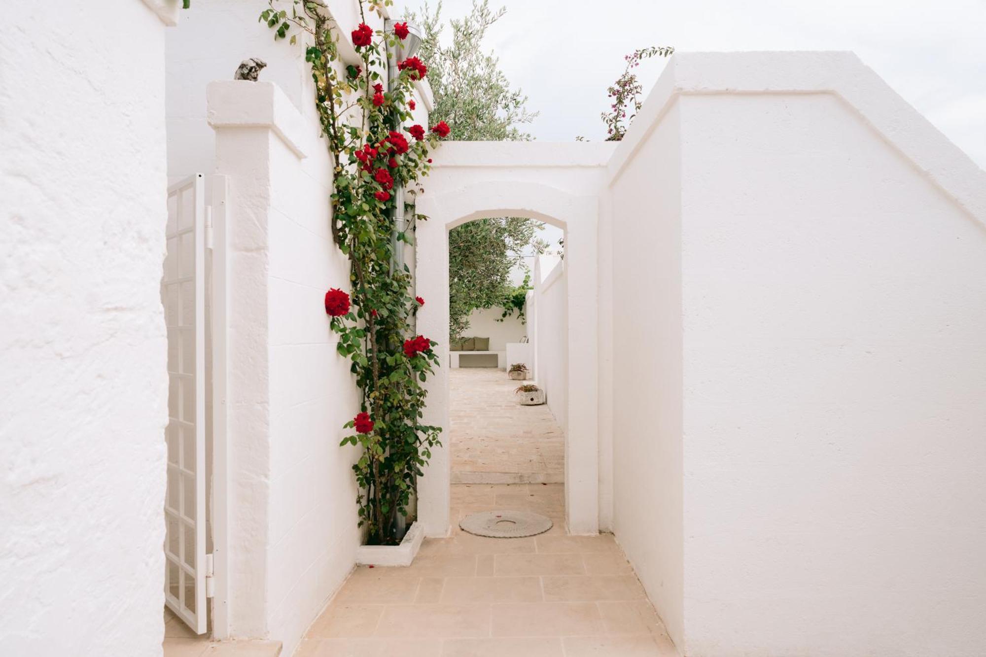 Oltre Gli Ulivi Bed and Breakfast Ostuni Eksteriør billede