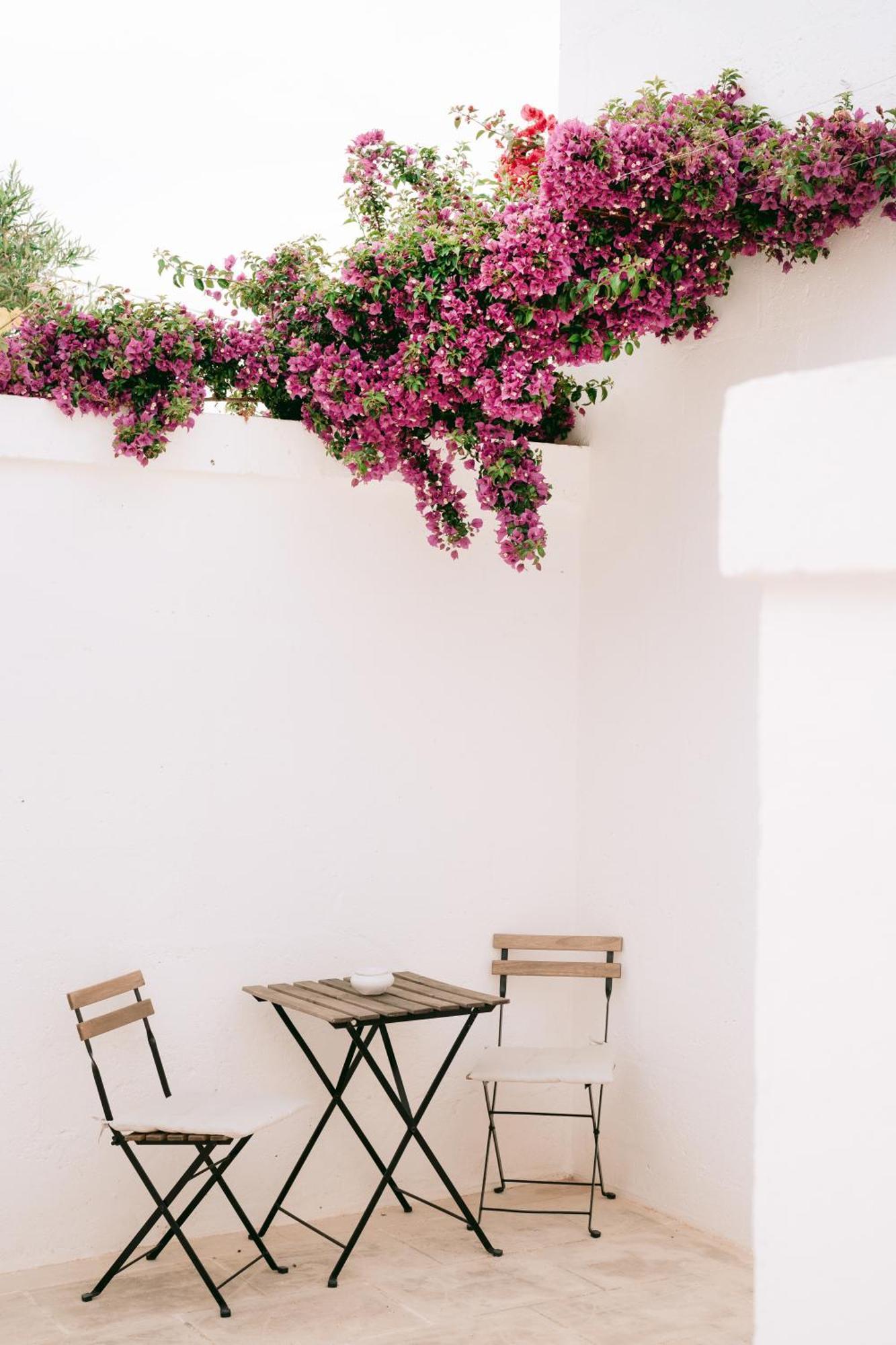 Oltre Gli Ulivi Bed and Breakfast Ostuni Eksteriør billede