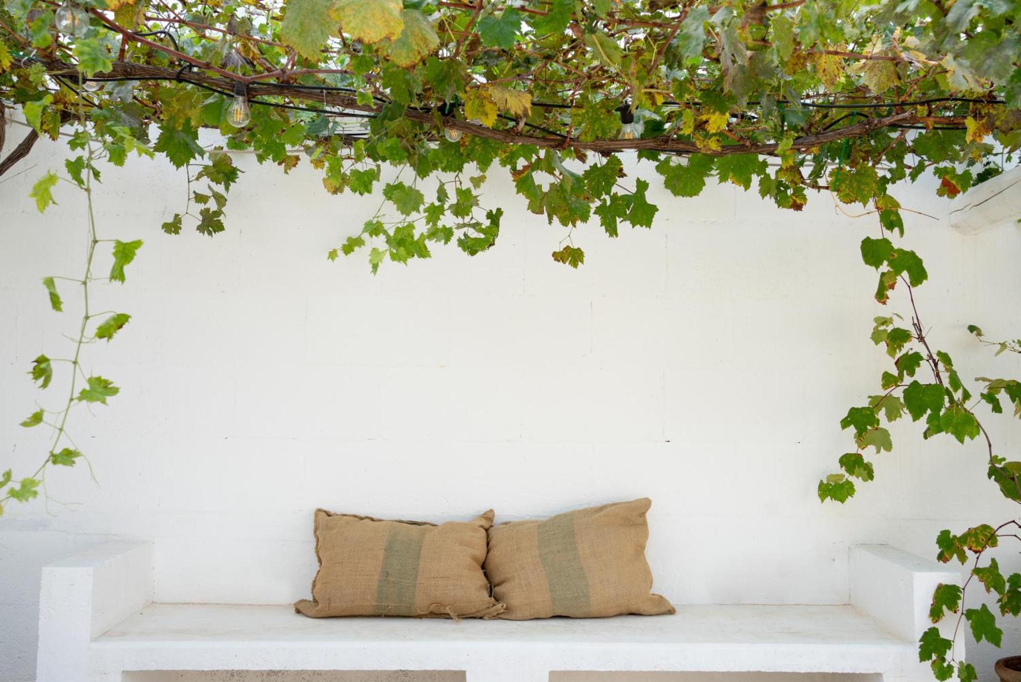 Oltre Gli Ulivi Bed and Breakfast Ostuni Eksteriør billede