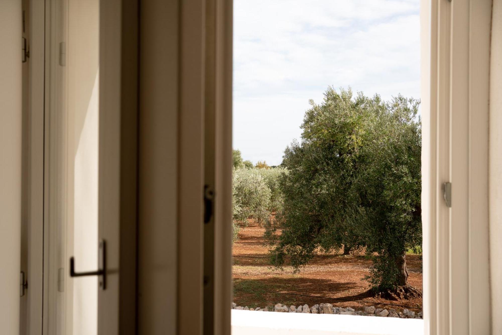 Oltre Gli Ulivi Bed and Breakfast Ostuni Eksteriør billede