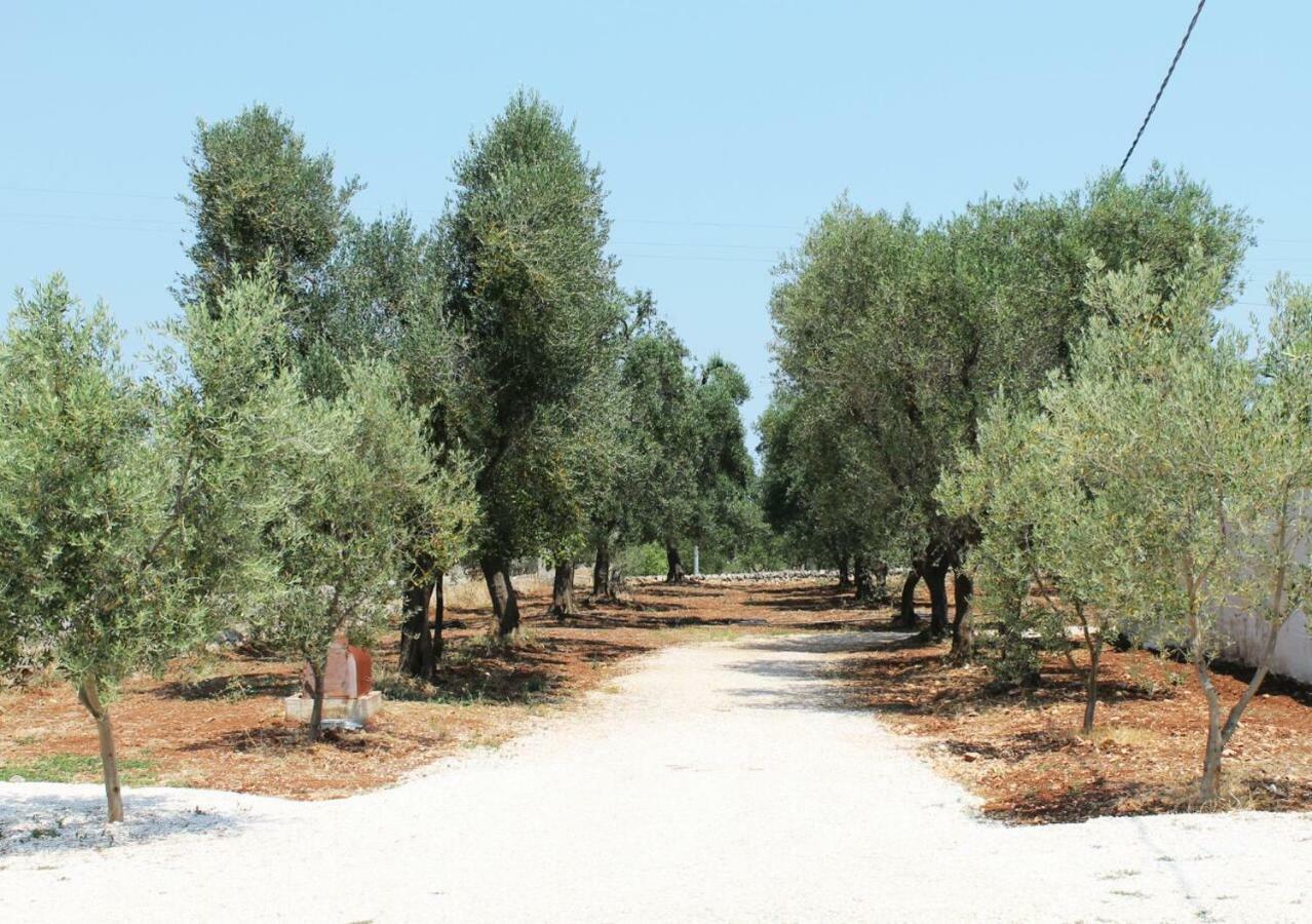 Oltre Gli Ulivi Bed and Breakfast Ostuni Eksteriør billede